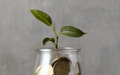 De Ahorrador a Inversionista: su Camino hacia el Éxito Financiero